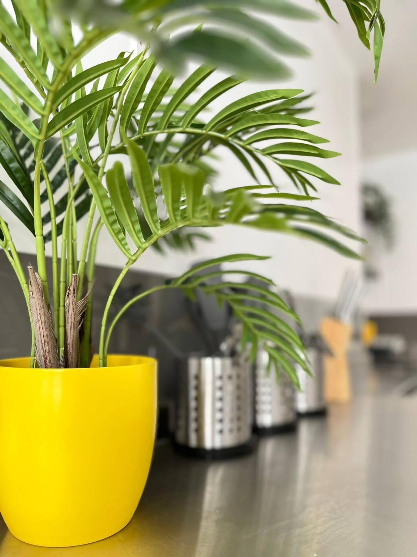 Apt 08 Beachside Beauty Central Studio Steps From Cafes Brighton Екстериор снимка